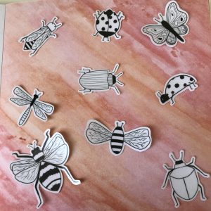 Doorzichtige insecten stickers
